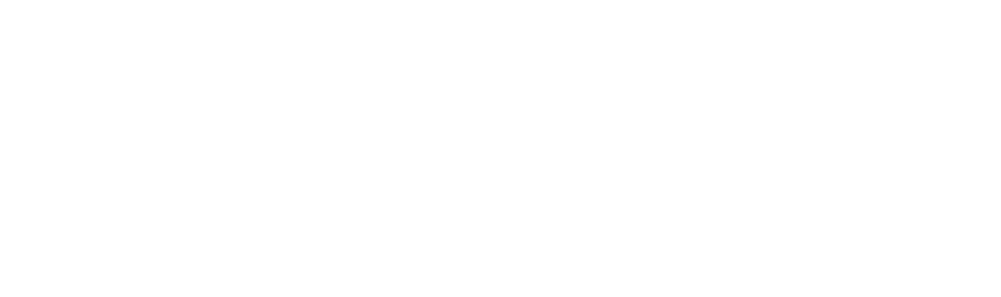 VKY logo white